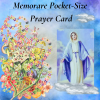 Memorare Flying Novena