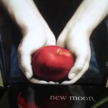 Twilight Novel ~ Bloo Moon