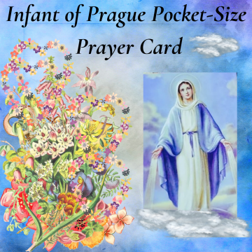 Infant of Prague Prayer Card